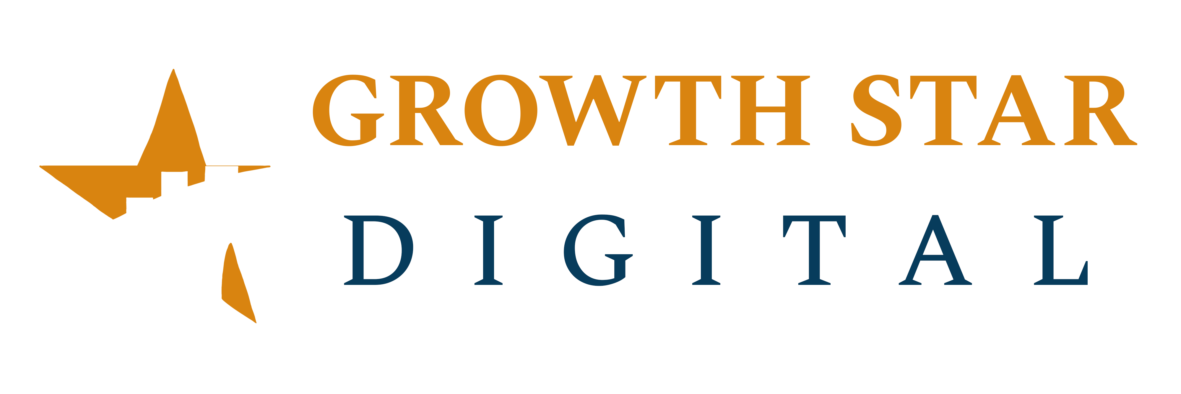 Growth Star Digital Digital Marketing Agency